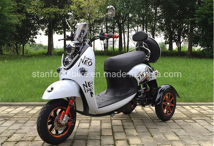 2020 Fat Tire Electric Tricycle Adults and Electric Trike with Lithium Battery