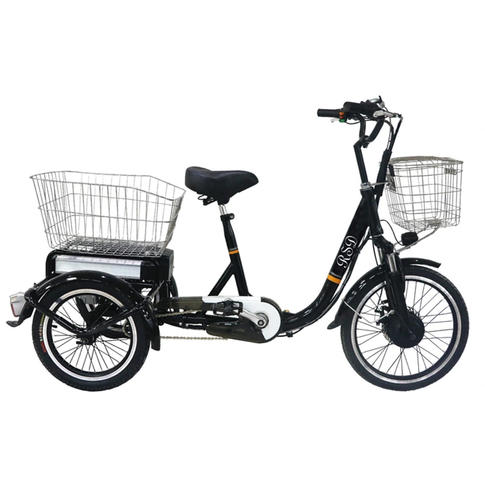 2021 Popualr Fat Tire E Trike Electric Tricycleelectric Trike Cargoztr Trike Electric Trike Electric Electric Trike Adult Electric Mop