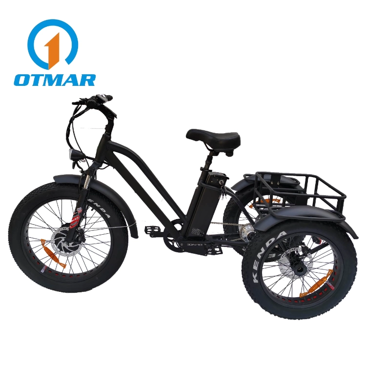 24 Inch Electric Cargo Bike Fat Tire Motorcycles Adult Three Wheel E Trike OEM Customized Factory Direct Sales Powered Electric Trike