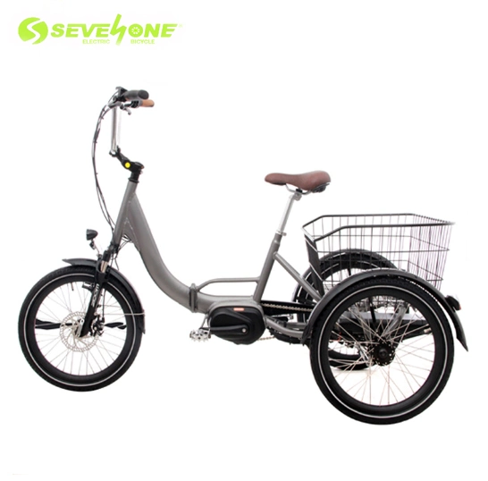 Family Used Electric Tricycle for Cargo Aluminum Foldable Frame