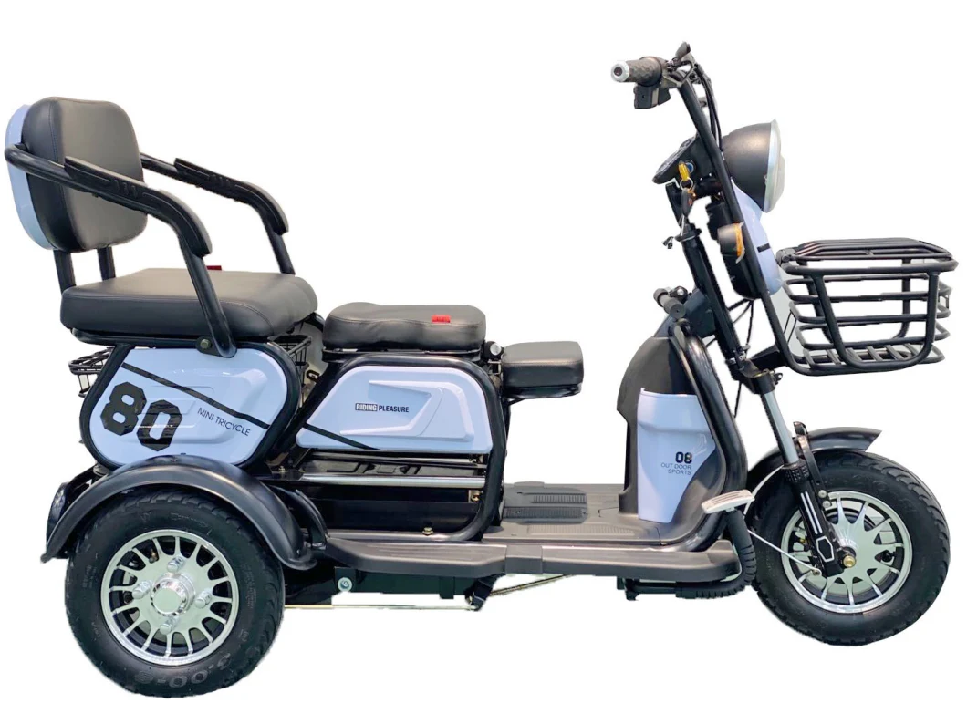 China 3 Wheel Foldable off-Road Electric Trike Disability Scooter Tricycle for Sale