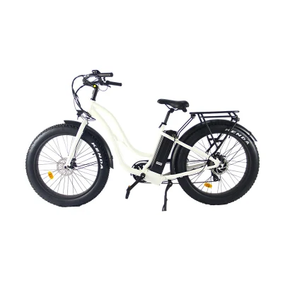 Bici elettrica da città con batteria al litio da 26 pollici 48V 500W Bici elettrica Elelctric Moutainbike