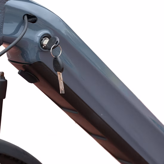 Shimano 7-9 Velocità Motore Mid Drive Bici elettrica Urbano Stile retrò Pedalata assistita Bici elettrica Breve tempo di ricarica E-Bike per adulti City Dirt Bike