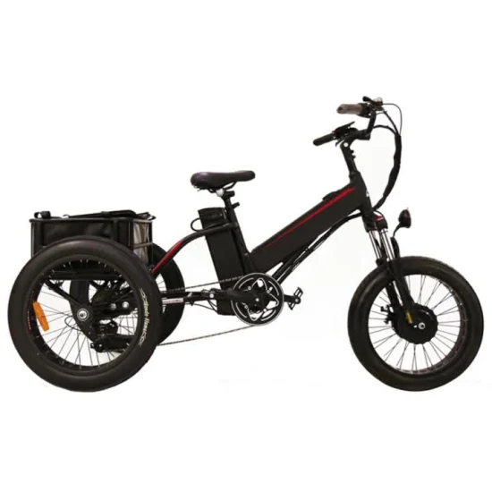 2021 Popualr Fat Tire E Trike Triciclo elettrico, Triciclo elettrico, Cargoztr Trike, Triciclo elettrico, Triciclo elettrico per adulti, Mop elettrico