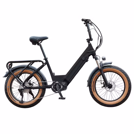 Bicicletta elettrica Fat Tire da 20 pollici Bicicletta elettrica Snow Beach Cruiser EL-DN2011z