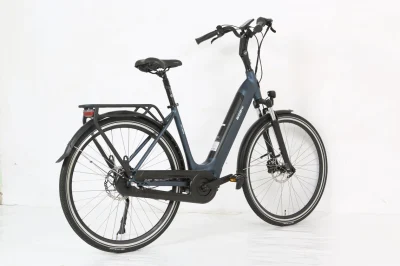 Bicicletta elettrica Citybike EU 700c Bafang MID Motore