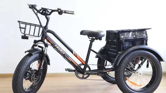 Trike elettrico per pneumatici grassi con batteria al litio 48V500W 48V10.4ah anteriore/posteriore