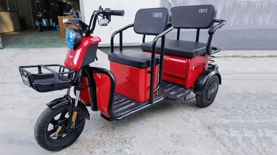 Triciclo elettrico per mini auto pieghevole per bici elettrica a tre ruote per passeggeri e carico multifunzionale in vendita