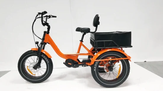 Trike elettrico per adulti China Fat Tire Dual Lithium Cargo Turkey E Trike in vendita Trike elettrico pieghevole con motore M400 MID da 20 pollici con forte differenziale