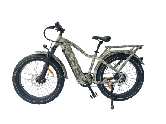 Queene/Bafang 500W/750W/1000W 26 Zoll Fat Tire Elektro-Mountainbike Snow Cruiser E-Bike